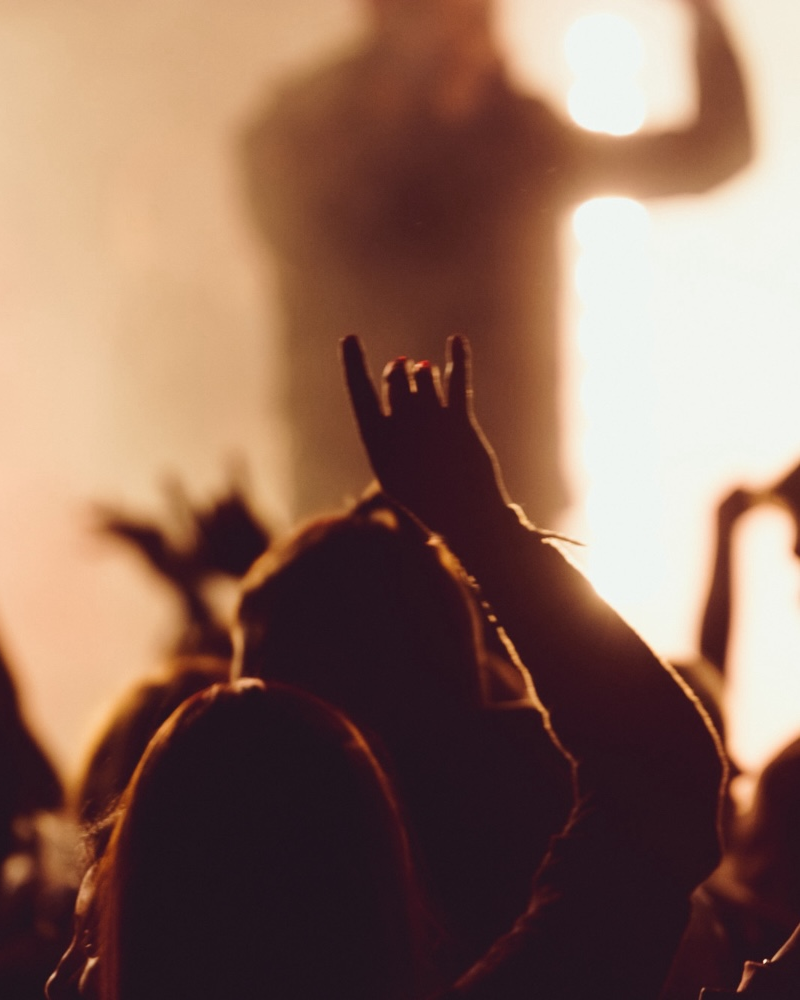 Enjoying live music show